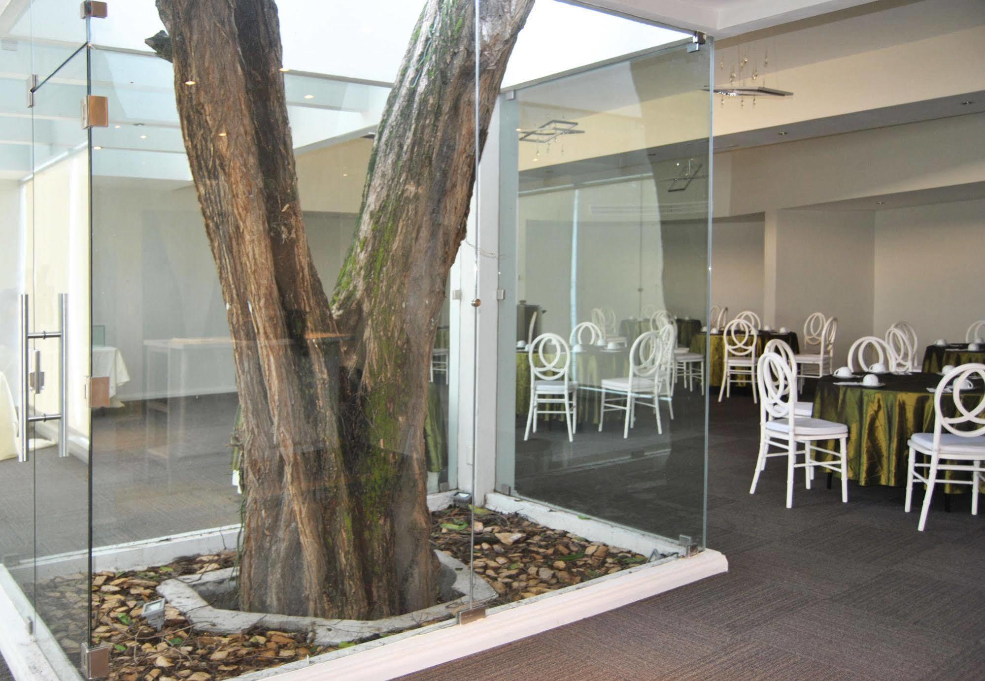 סן פדרו סולה Hotel Los Andes מראה חיצוני תמונה